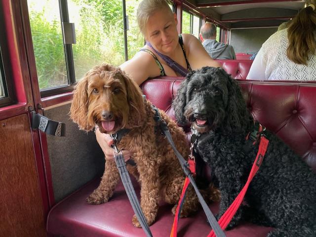 Alison with her two cockapoos, Poppy and Lily